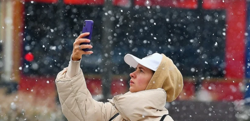 В Белгородской и Ростовской областях запустили интернет по «белым спискам»